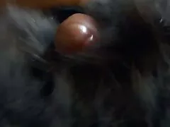 Tôi đã gặp tai phim sec hay melatoni và tôi đã không từ chối để xem con vịt