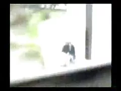 Cưỡi tai phim sec ngan trên một chi cưỡi trên một chiếc xe ngựa