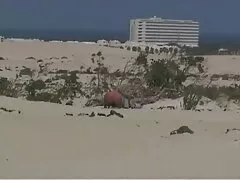 Cặp vợ chồng trẻ và lấy bức download phim sec ảnh photosebcam